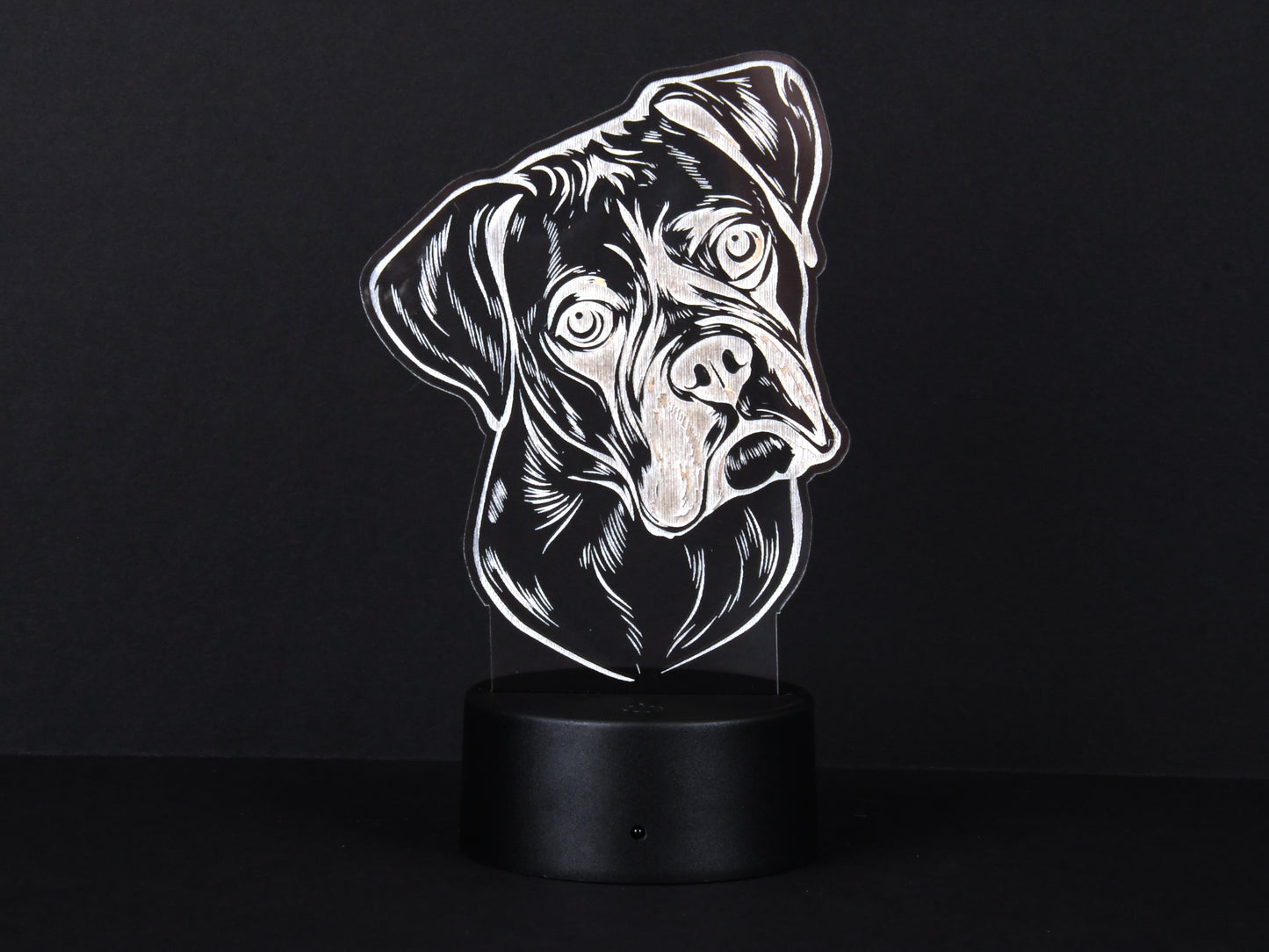 Boxer Acrylic Illusion Light