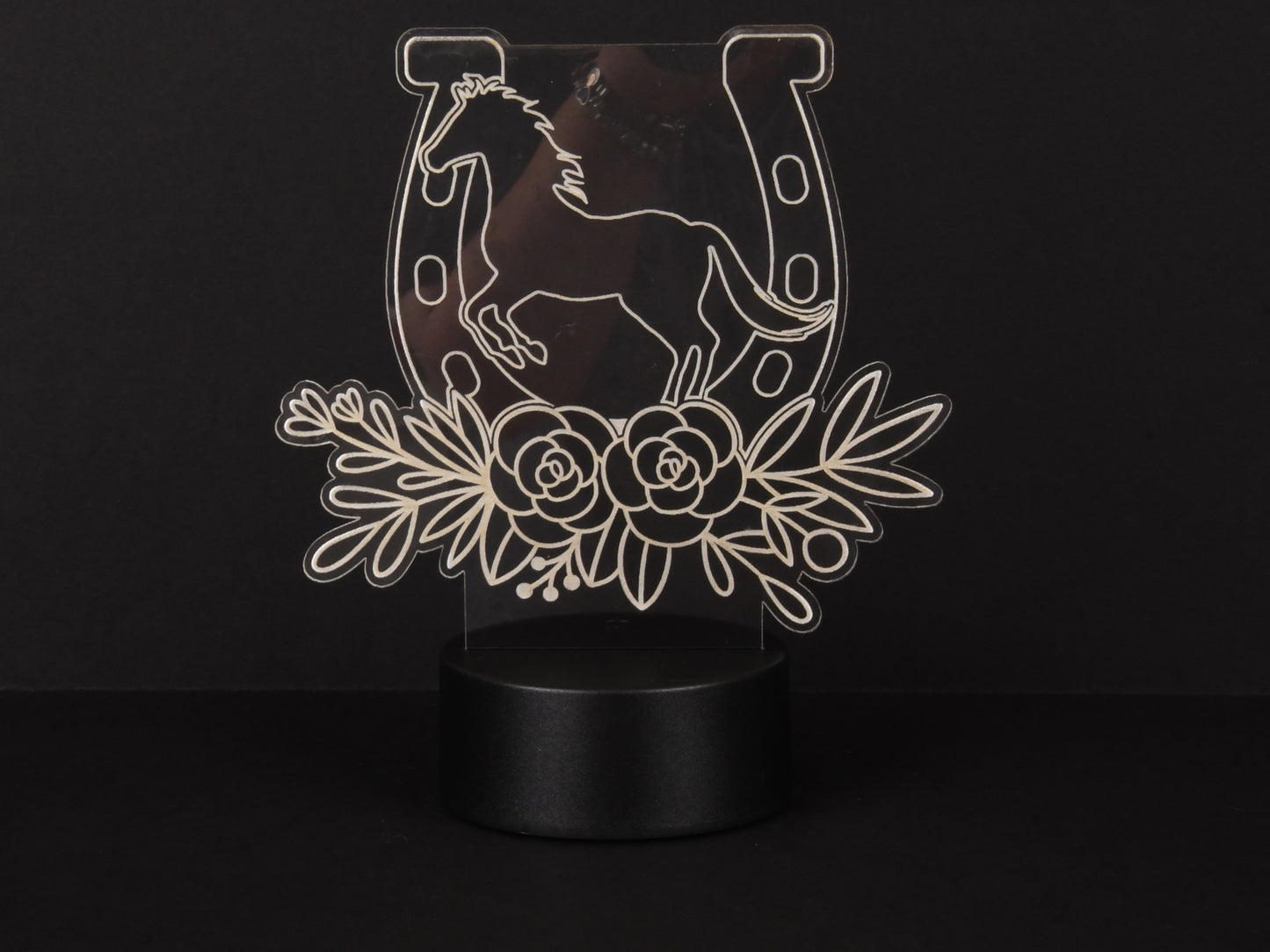 Horse and Horseshoe Acrylic Illusion Light