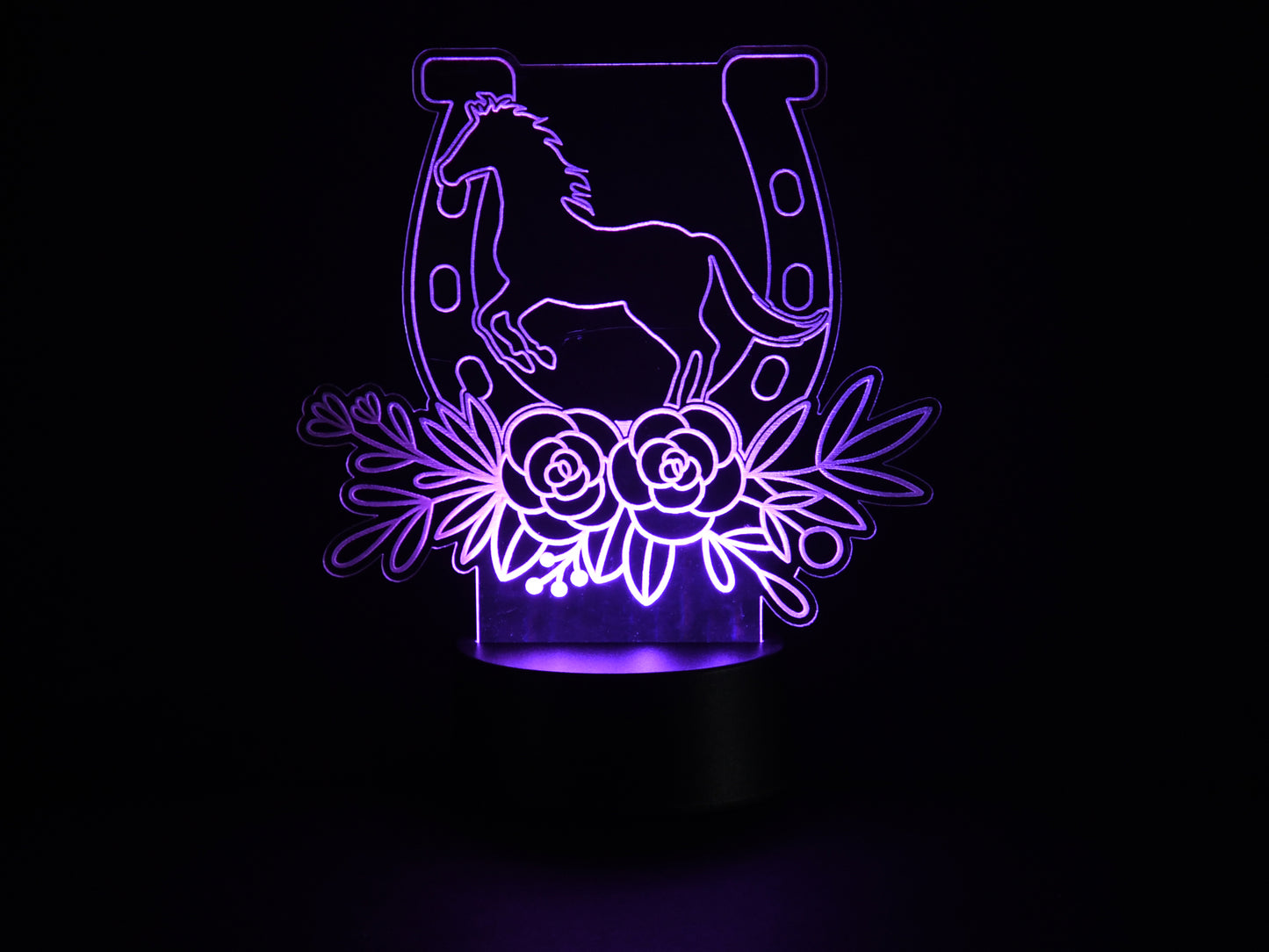 Horse and Horseshoe Acrylic Illusion Light