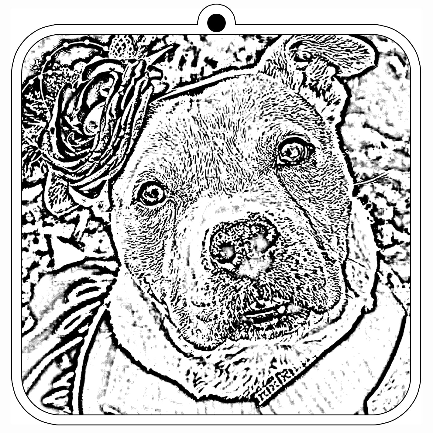 Photo Ornament or Mirror Hanger (ORN-Photo-001)