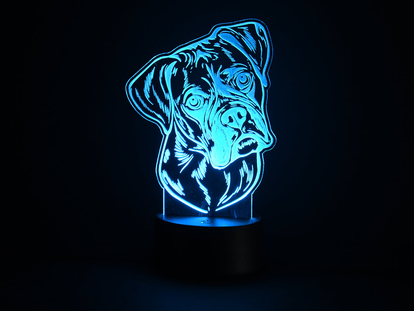 Boxer Acrylic Illusion Light